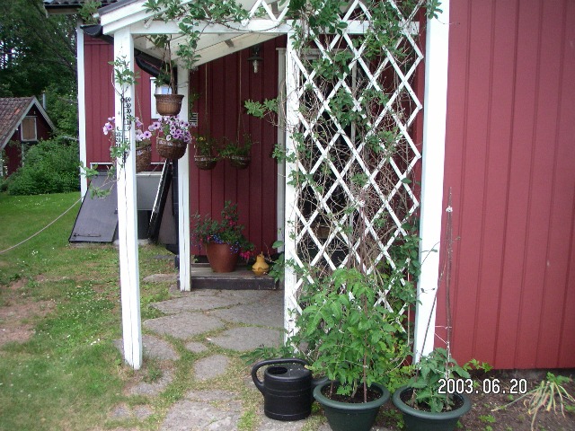 008.jpg
