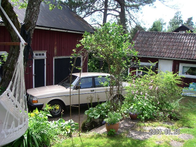 010.jpg