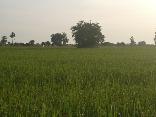 CIMG0149.JPG