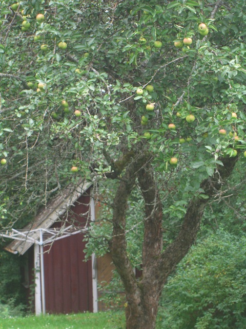 CIMG0319.JPG