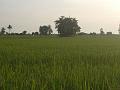 CIMG0149