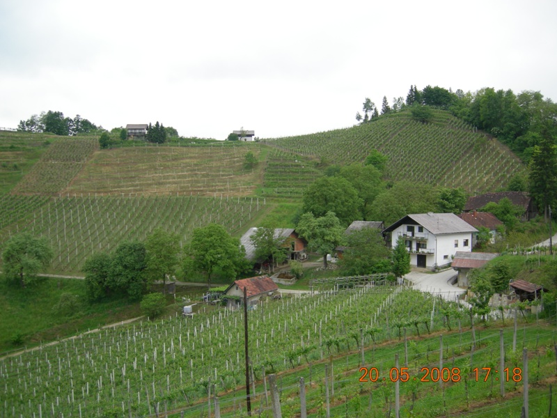 DSCN6509.JPG