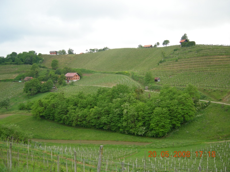 DSCN6510.JPG