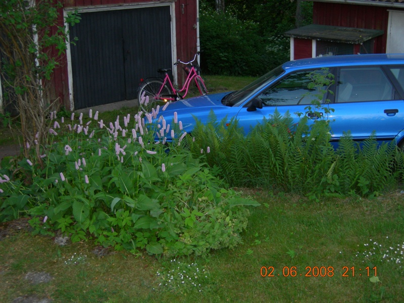 DSCN6516.JPG