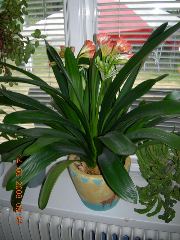 DSCN6523.JPG