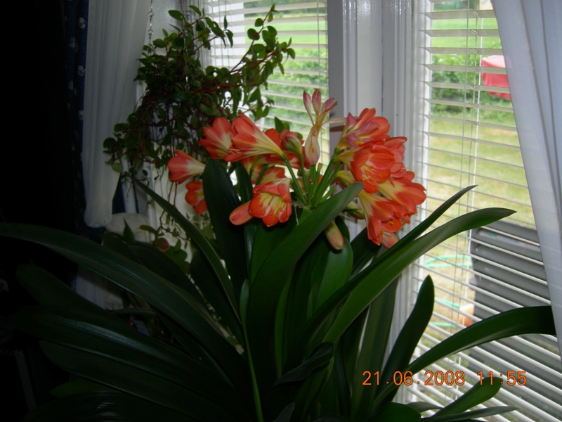 DSCN6524.JPG