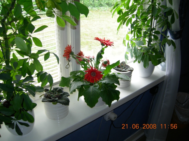 DSCN6525.JPG
