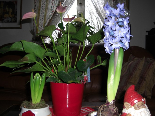 CIMG0108.JPG