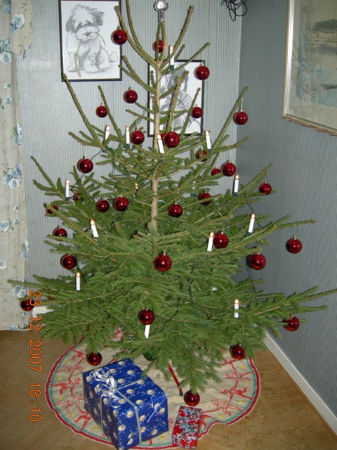 DSCN0558.JPG