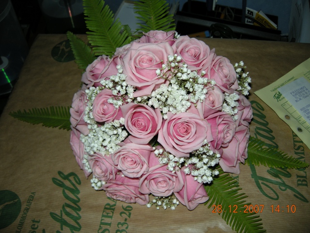 DSCN6233.JPG