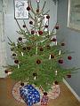 DSCN0558