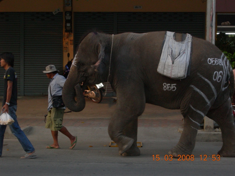 DSCN6359.JPG