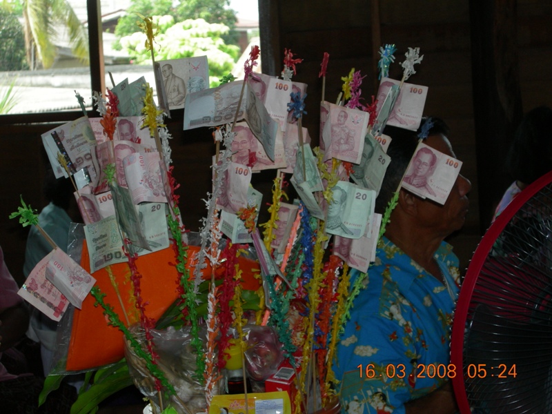 DSCN6365.JPG