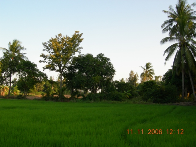 DSCN0391.JPG