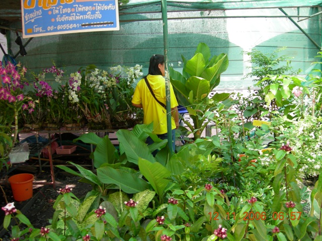 DSCN0397.JPG