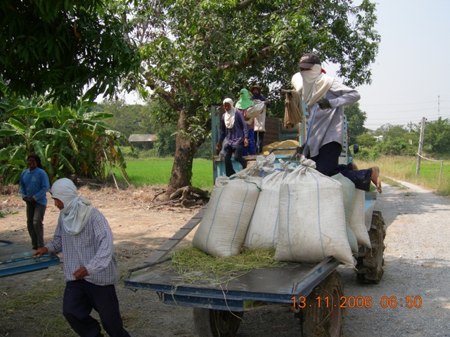 DSCN0415.JPG