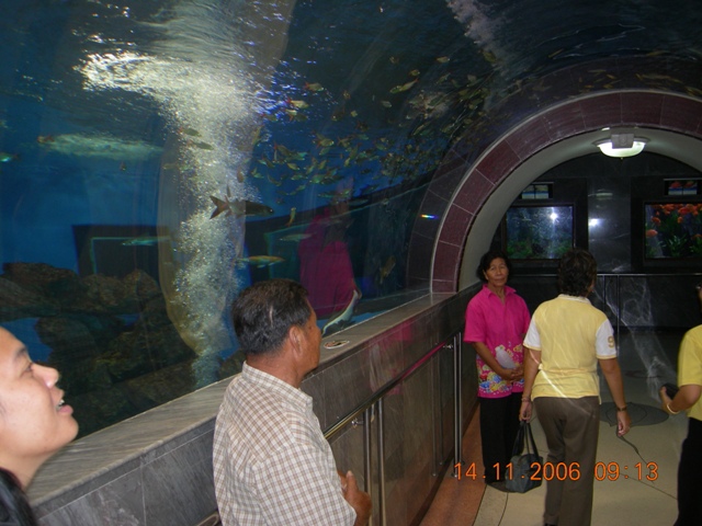 DSCN0424.JPG