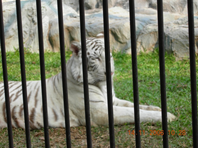 DSCN0429.JPG