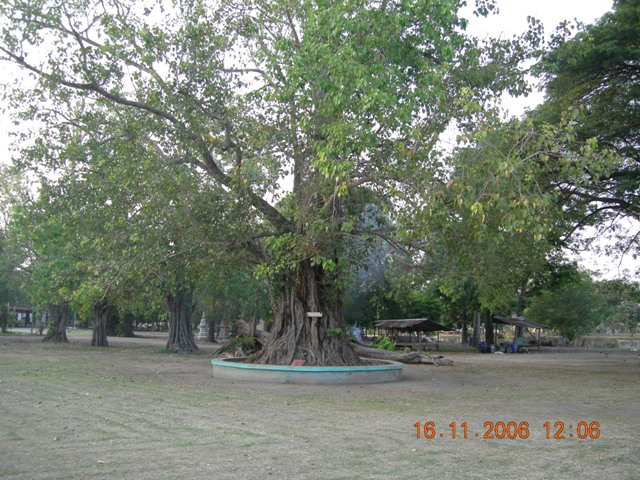 DSCN0439.JPG