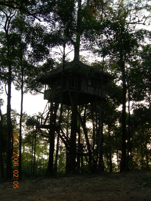 DSCN0463.JPG