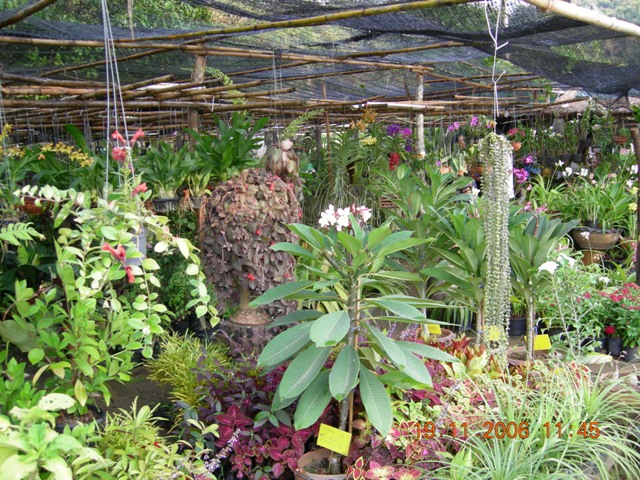 DSCN0468.JPG
