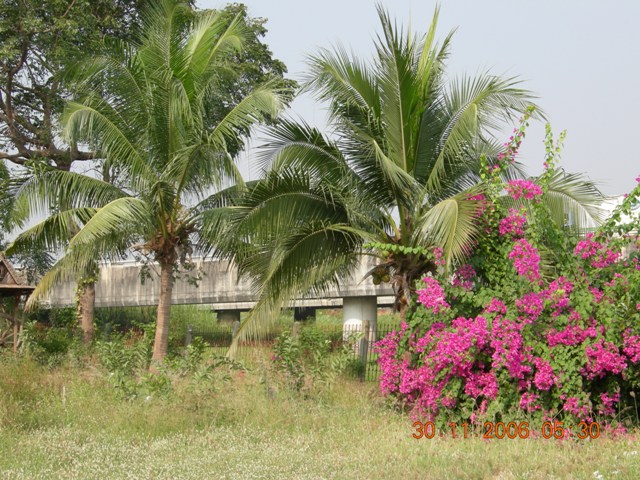 DSCN0500.JPG