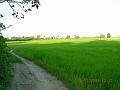 DSCN0390