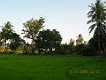 DSCN0391
