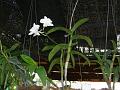 DSCN0436