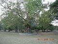 DSCN0439