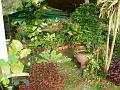 DSCN0442