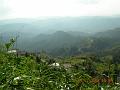 DSCN0458