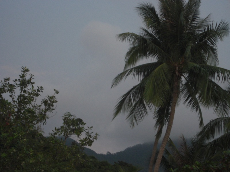 CIMG0322.JPG
