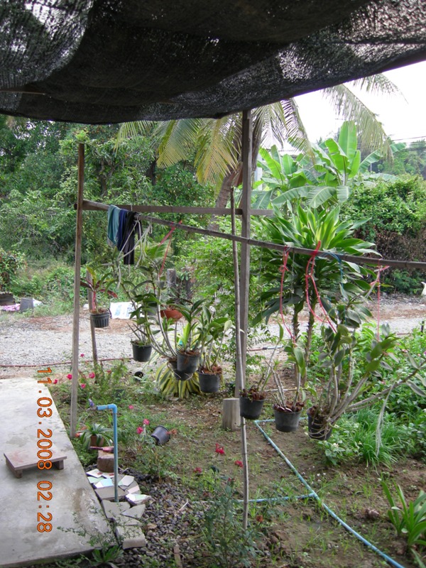 DSCN6306.JPG