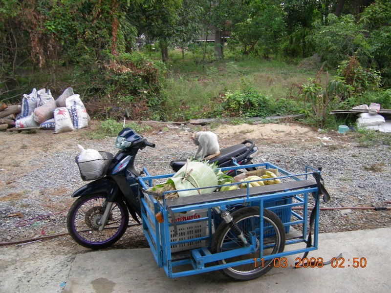 DSCN6308.JPG