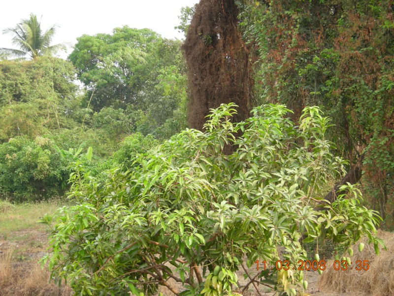 DSCN6313.JPG