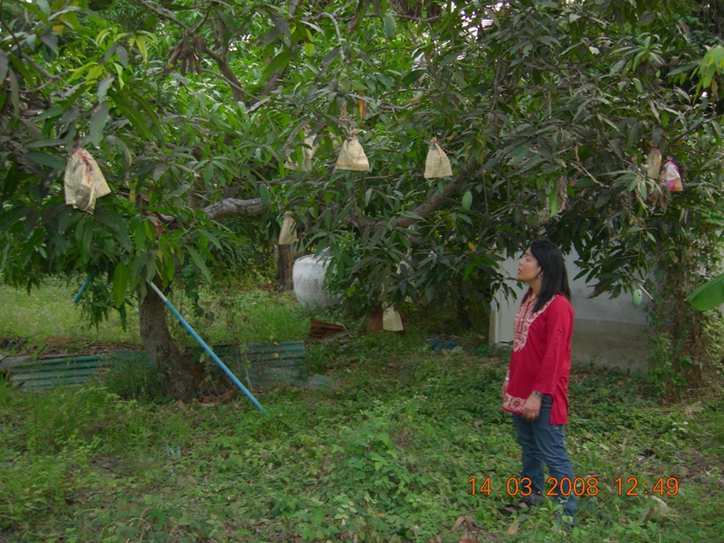 DSCN6349.JPG