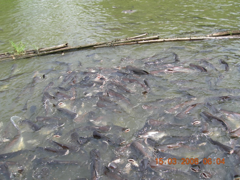 DSCN6352.JPG