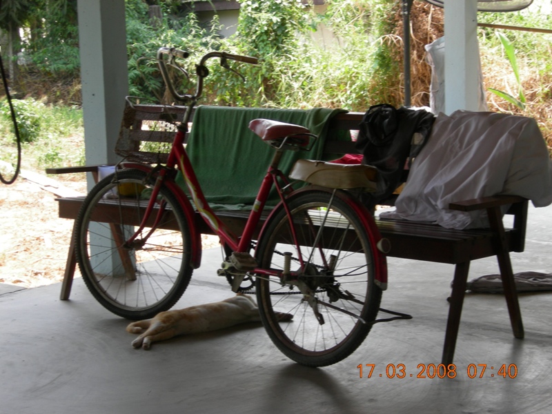 DSCN6444.JPG