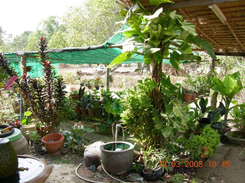 DSCN6448.JPG