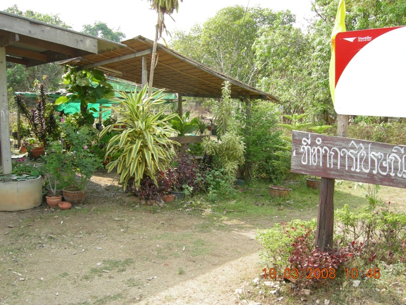 DSCN6449.JPG