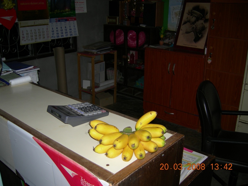 DSCN6450.JPG