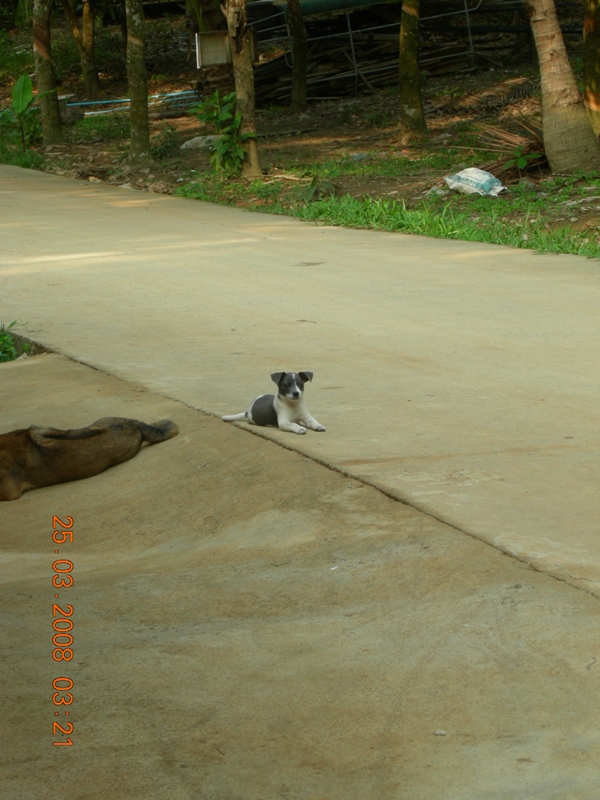 DSCN6460.JPG