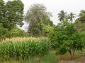 DSCN6320